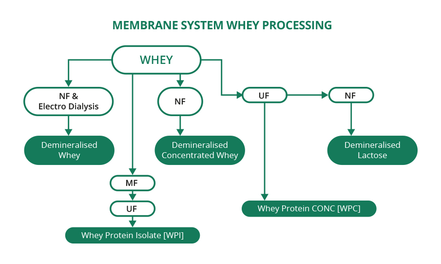 Membrane system whey processing